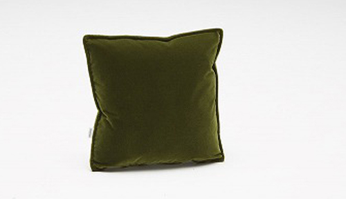 �N�b�V����(���P�b�g�O���[��)