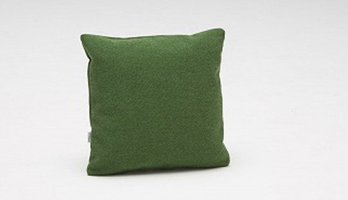 �N�b�V����(�^�[�v�O���[��)