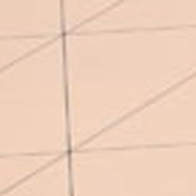 �J���[�v���b�^�[�T���h�F���{