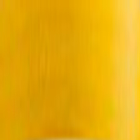 �z�[�������C�G���[�F���{